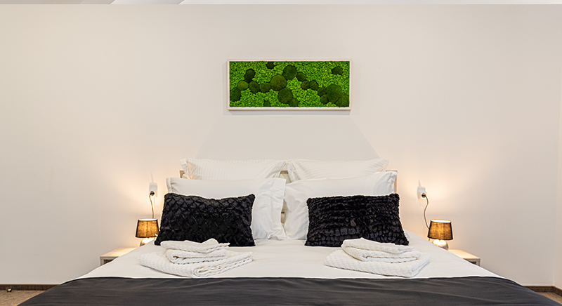 Bada Bing Residence | Pensiune Brasov | Cazare Brasov | Apartamente in regim hotelier Brasov | Cazare in Brasov